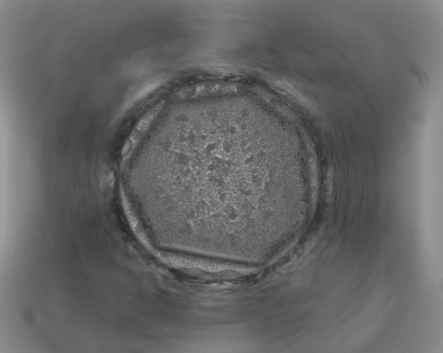 X0000113571302200910161509