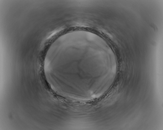 X0000113571303200910161509