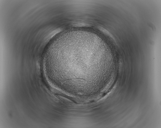 X0000113571305200910161509