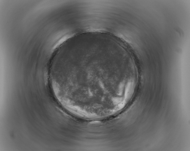 X0000113571306200910161509