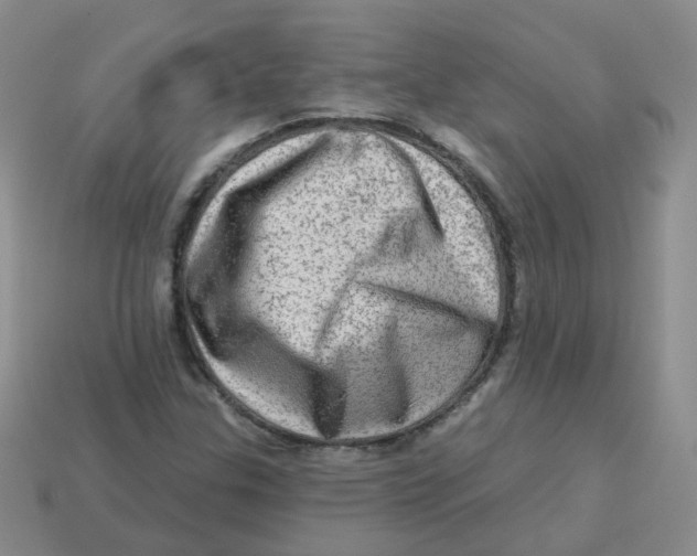 X0000113571307200910161509