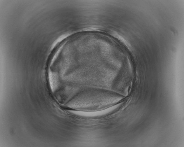 X0000113571308200910161509