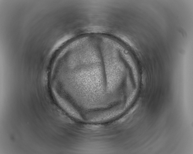 X0000113571309200910161509