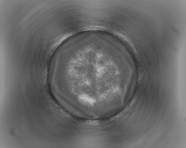 X0000113571313200910161510