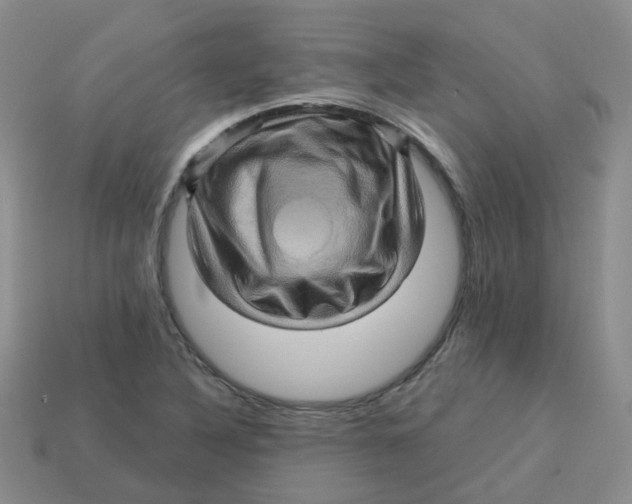 X0000113571316200910161510