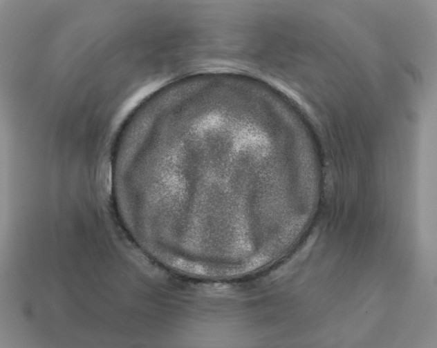 X0000113571317200910161510