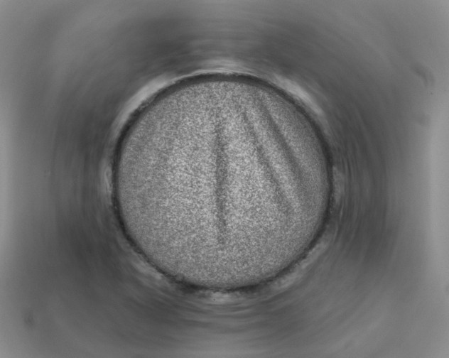 X0000113571318200910161510