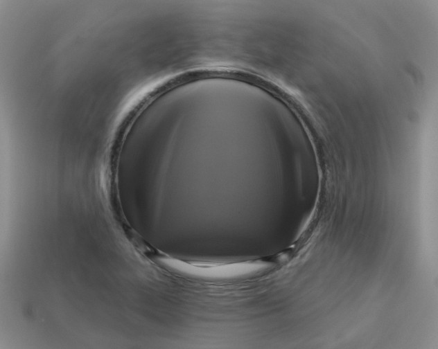 X0000113571319200910161510