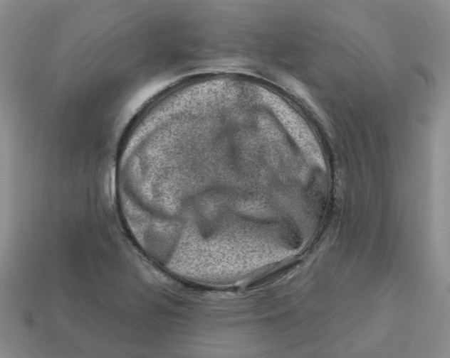 X0000113571320200910161510