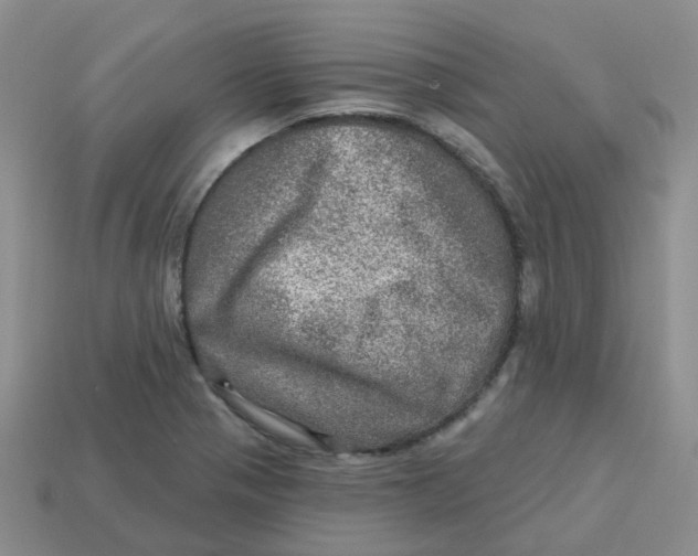 X0000113571321200910161510