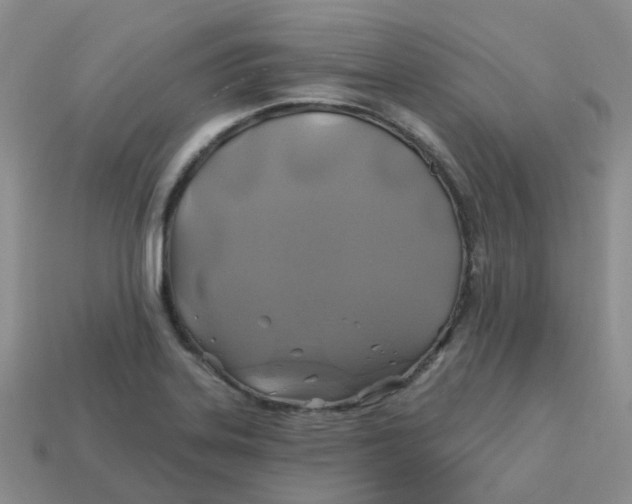 X0000113571323200910161510