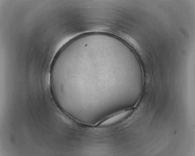 X0000113571324200910161510