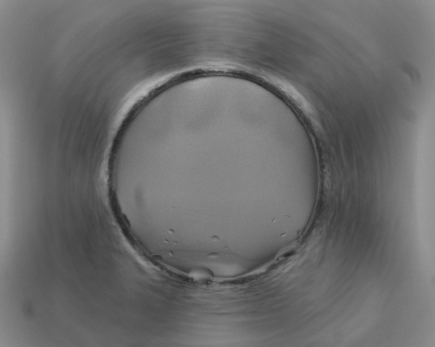 X0000113571327200910161510