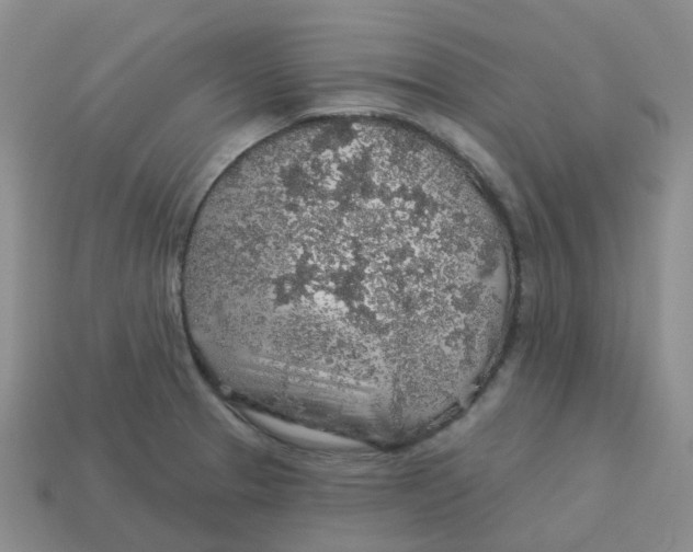 X0000113571329200910161510