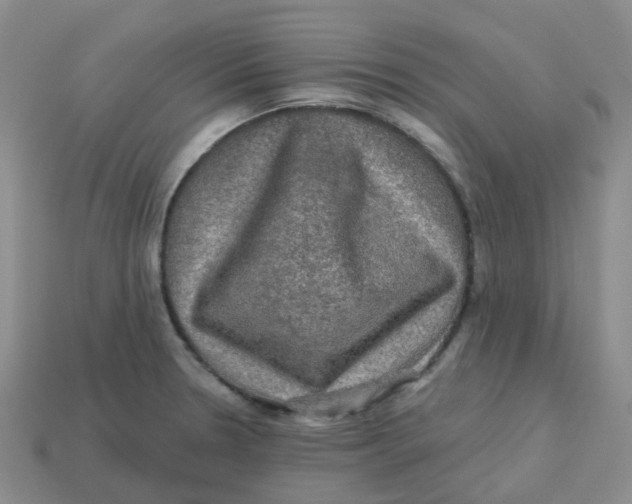 X0000113571330200910161510