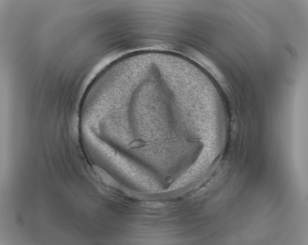 X0000113571332200910161510