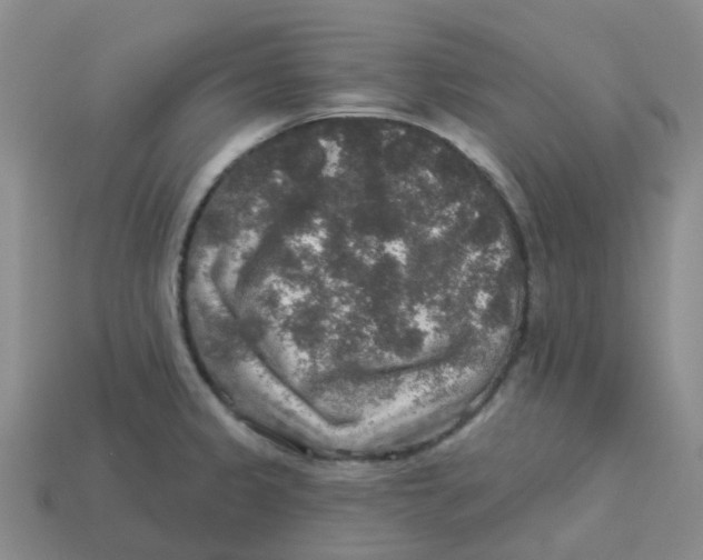 X0000113571333200910161510