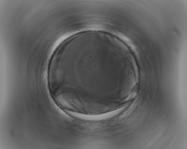 X0000113571334200910161510