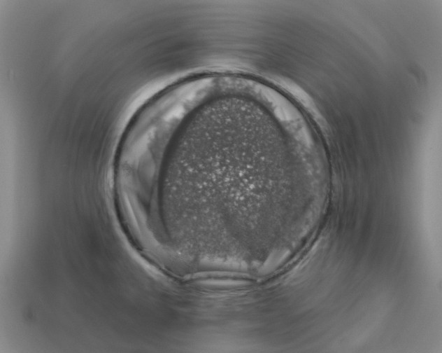 X0000113571335200910161510