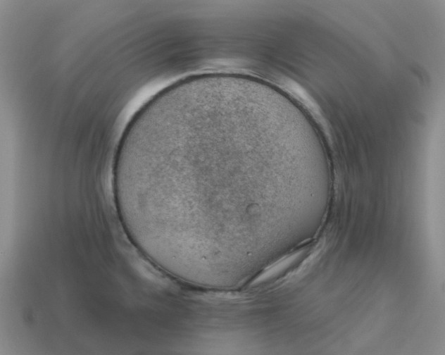 X0000113571336200910161510