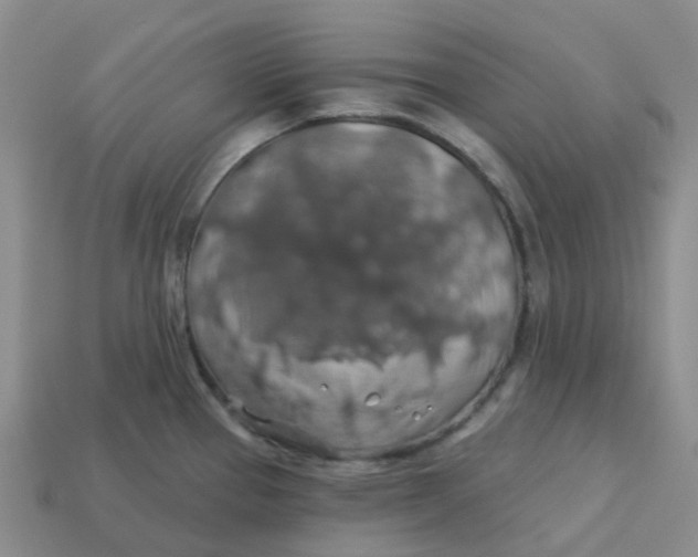 X0000113571337200910161510