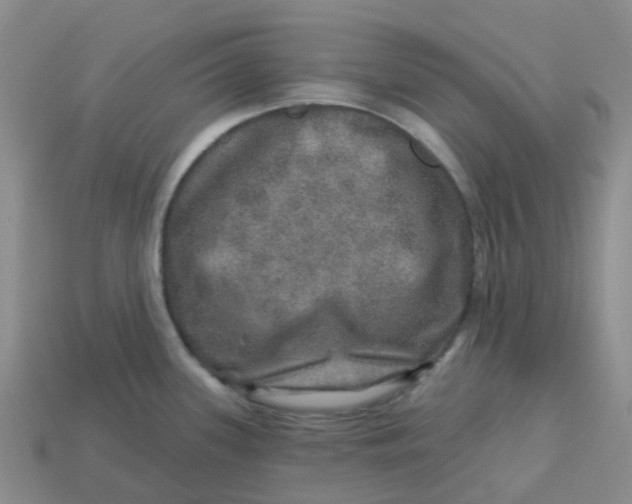 X0000113571339200910161510