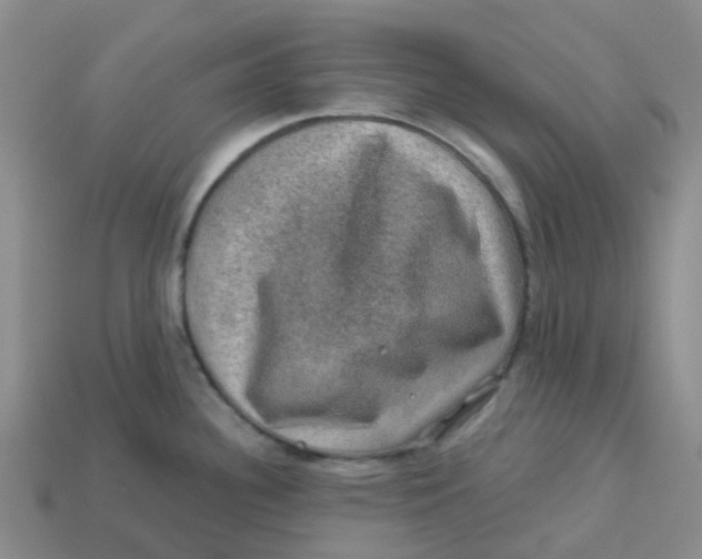 X0000113571340200910161510