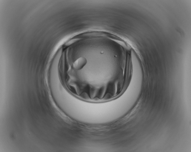 X0000113571342200910161510