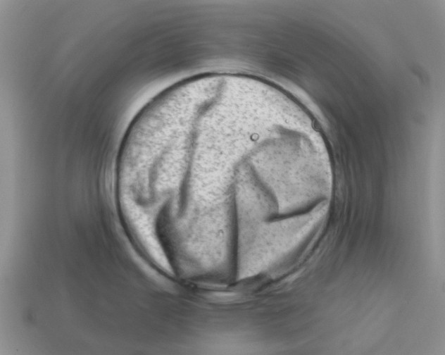 X0000113571343200910161510