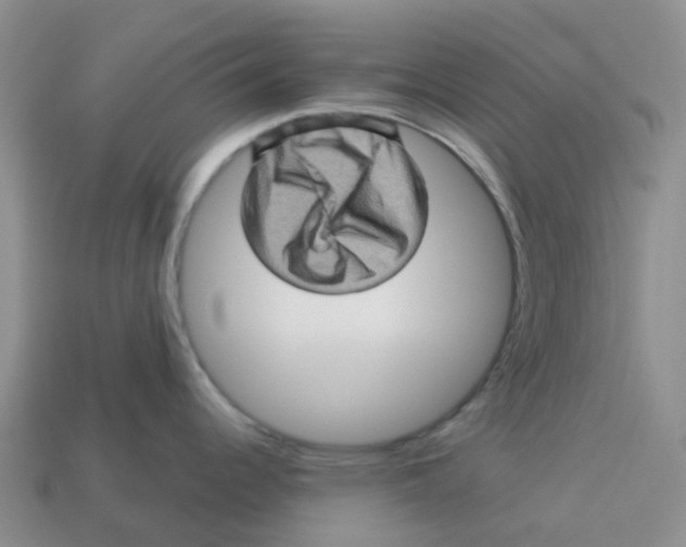 X0000113571344200910161510