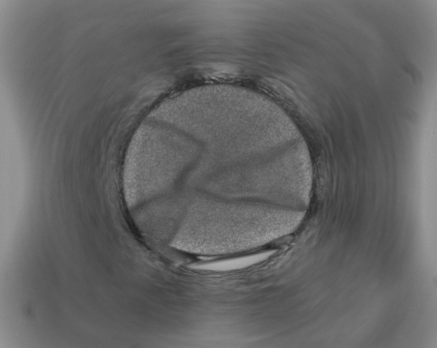 X0000113571345200910161509