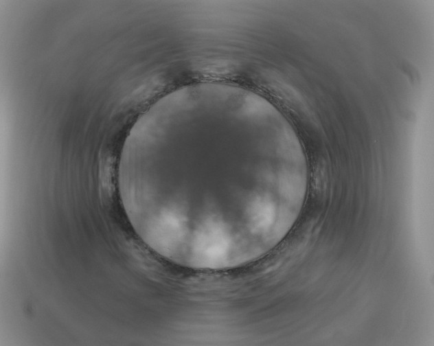 X0000113571346200910161509