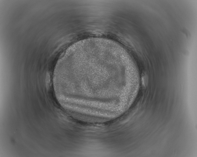 X0000113571347200910161509