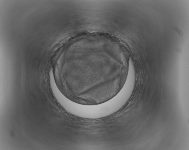 X0000113571349200910161509