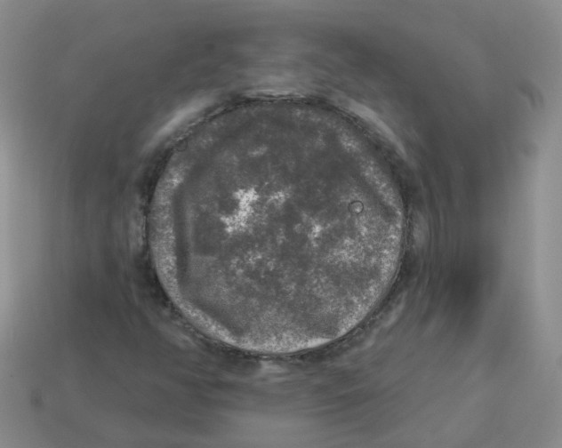 X0000113571350200910161509