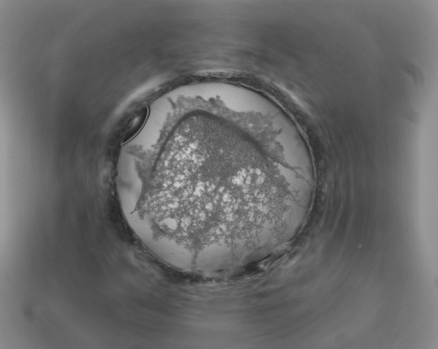 X0000113571351200910161509