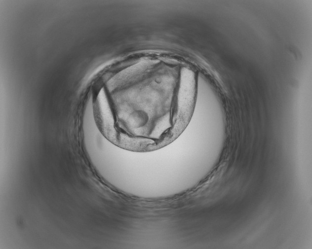 X0000113571352200910161509