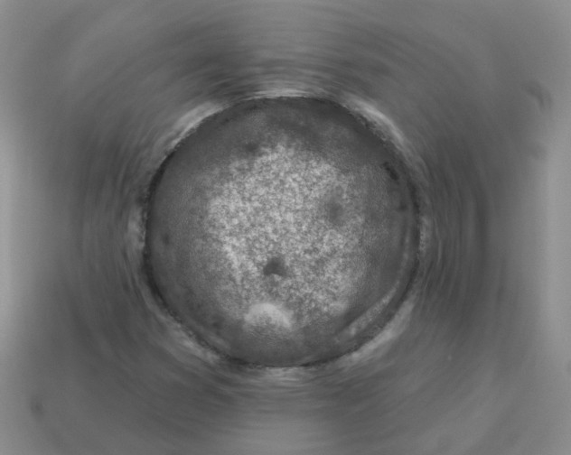 X0000113571353200910161509