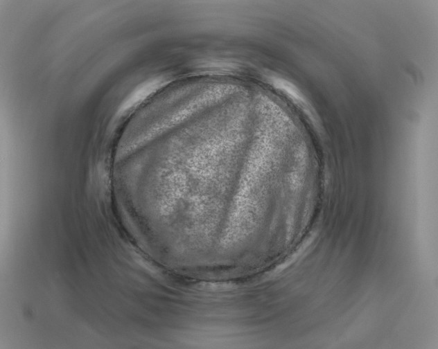 X0000113571354200910161509