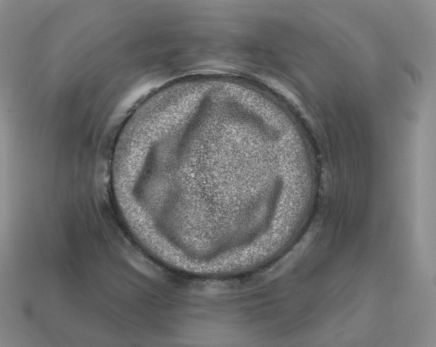 X0000113571355200910161509