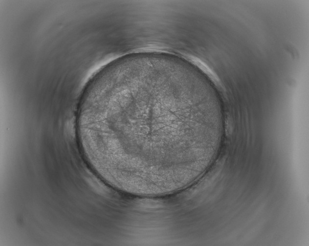 X0000113571356200910161509