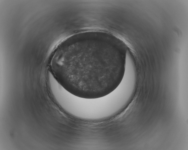 X0000113571357200910161509