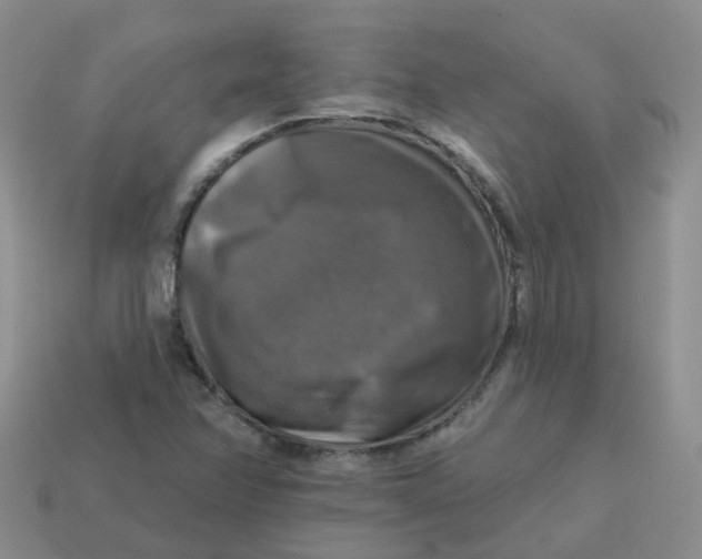 X0000113571358200910161509