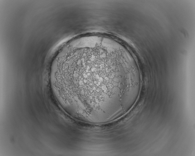 X0000113571359200910161509