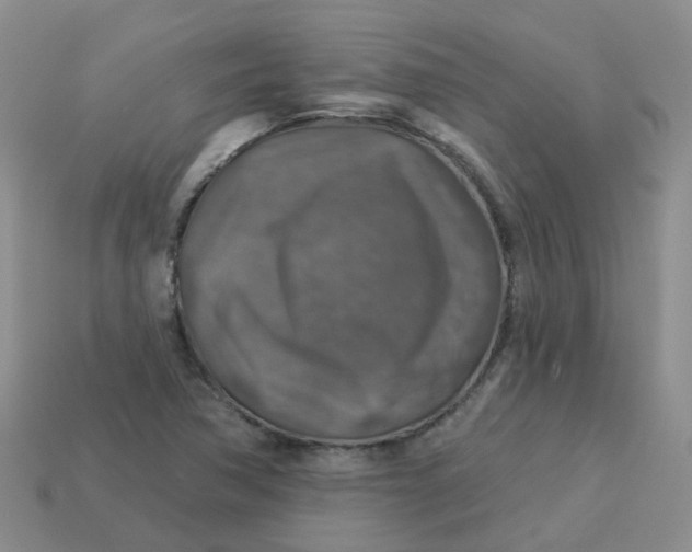 X0000113571362200910161509