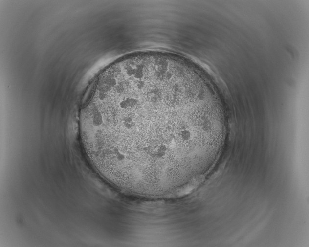 X0000113571363200910161509