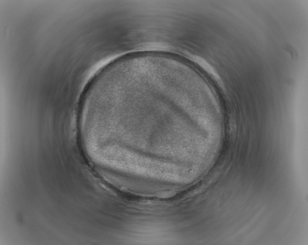 X0000113571364200910161509