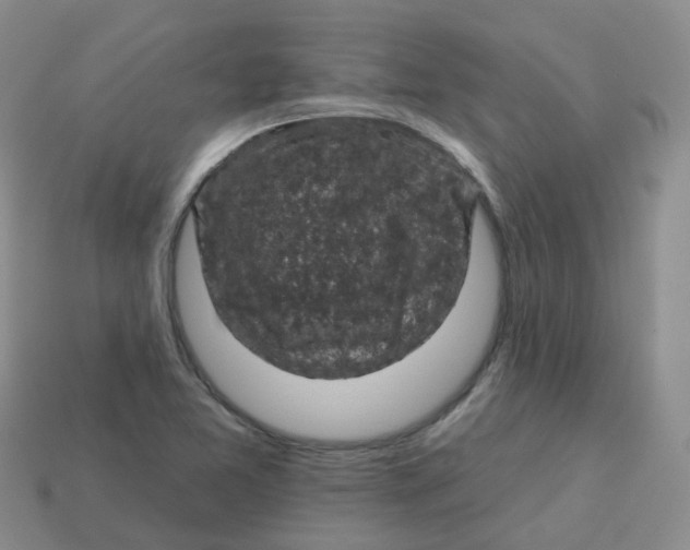 X0000113571365200910161509