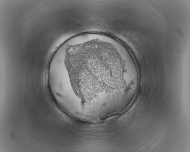 X0000113571367200910161509