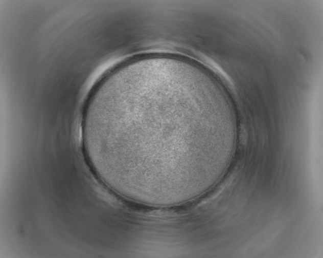 X0000113571368200910161509